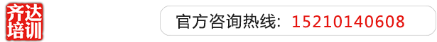 嗯嗯～不～骚货齐达艺考文化课-艺术生文化课,艺术类文化课,艺考生文化课logo